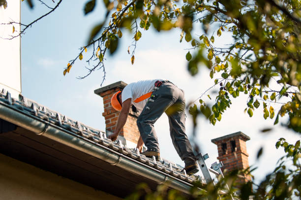 Best Roof Gutter Cleaning  in Pendleton, IN